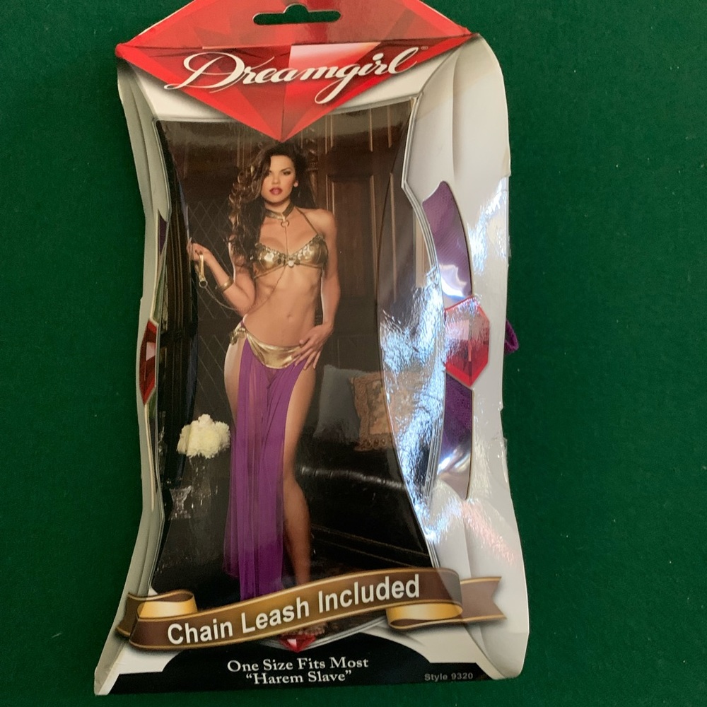 Harem Slave Costume